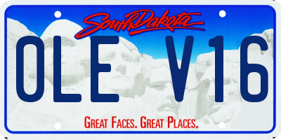 SD license plate 0LEV16