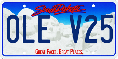 SD license plate 0LEV25