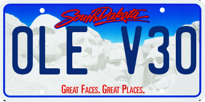 SD license plate 0LEV30