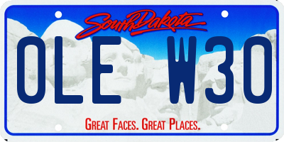 SD license plate 0LEW30