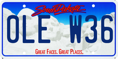 SD license plate 0LEW36
