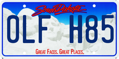 SD license plate 0LFH85