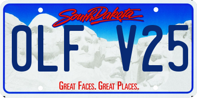 SD license plate 0LFV25