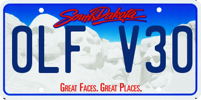 SD license plate 0LFV30