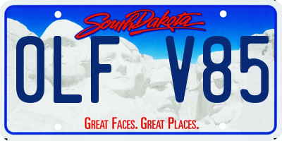 SD license plate 0LFV85