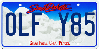 SD license plate 0LFY85