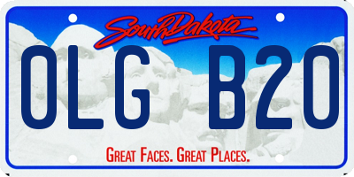SD license plate 0LGB20