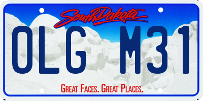 SD license plate 0LGM31