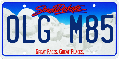 SD license plate 0LGM85