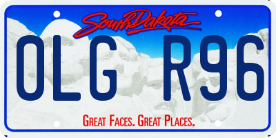 SD license plate 0LGR96