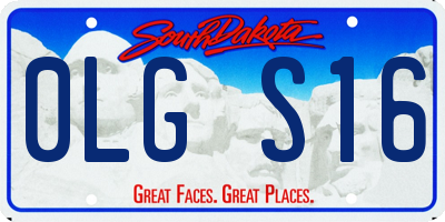 SD license plate 0LGS16