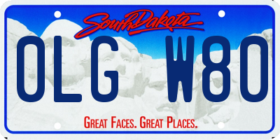 SD license plate 0LGW80
