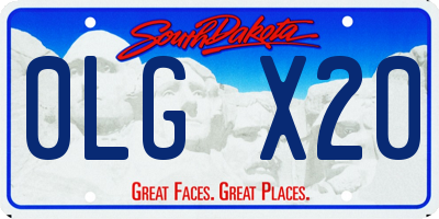 SD license plate 0LGX20