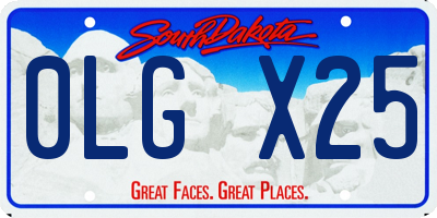 SD license plate 0LGX25