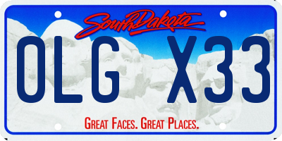 SD license plate 0LGX33
