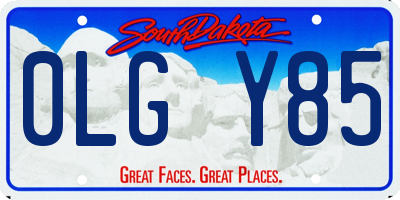 SD license plate 0LGY85