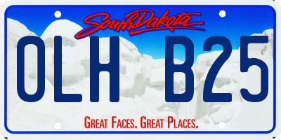 SD license plate 0LHB25