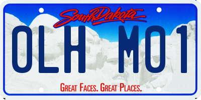 SD license plate 0LHM01