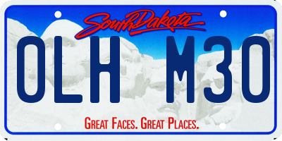 SD license plate 0LHM30