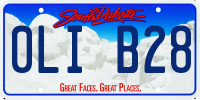 SD license plate 0LIB28