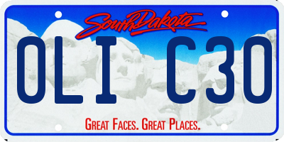 SD license plate 0LIC30