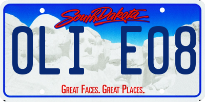 SD license plate 0LIE08