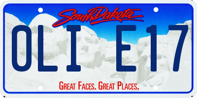 SD license plate 0LIE17