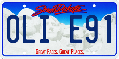 SD license plate 0LIE91