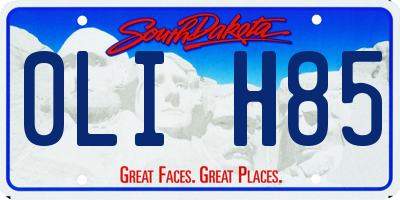 SD license plate 0LIH85