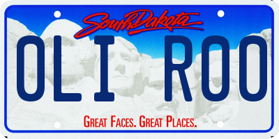 SD license plate 0LIR00