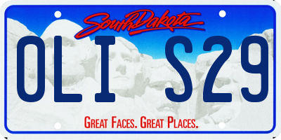 SD license plate 0LIS29