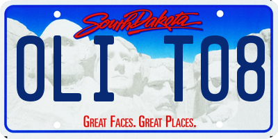SD license plate 0LIT08