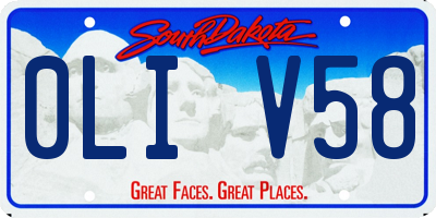 SD license plate 0LIV58
