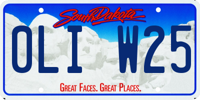 SD license plate 0LIW25