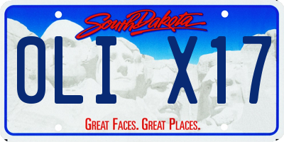 SD license plate 0LIX17