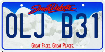 SD license plate 0LJB31