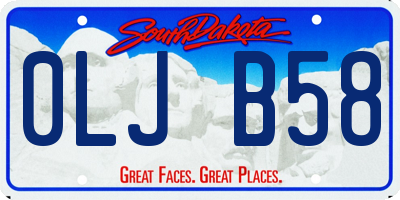 SD license plate 0LJB58