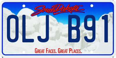 SD license plate 0LJB91