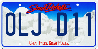 SD license plate 0LJD11