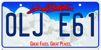 SD license plate 0LJE61