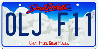 SD license plate 0LJF11