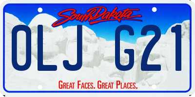 SD license plate 0LJG21
