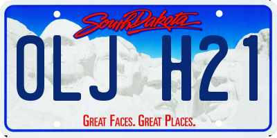 SD license plate 0LJH21