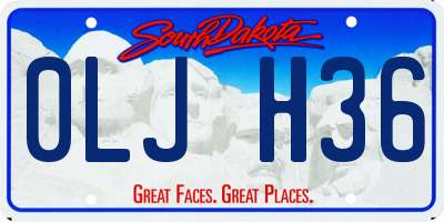 SD license plate 0LJH36
