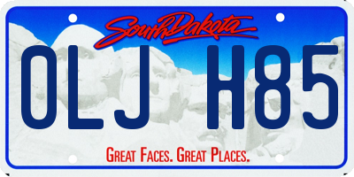 SD license plate 0LJH85