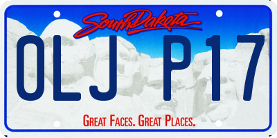 SD license plate 0LJP17