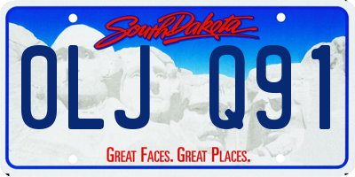 SD license plate 0LJQ91