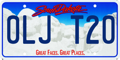 SD license plate 0LJT20