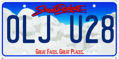 SD license plate 0LJU28