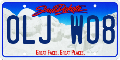 SD license plate 0LJW08